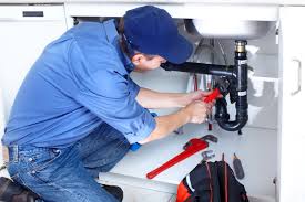 Best Commercial Plumbing Services  in Smithfield, NC